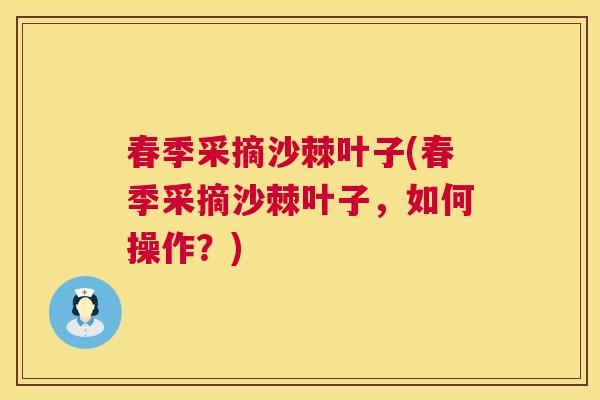 春季采摘沙棘叶子(春季采摘沙棘叶子,如何操作?)
