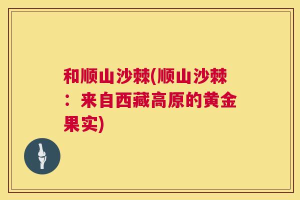 和顺山沙棘(顺山沙棘:来自西藏高原的黄金果实)