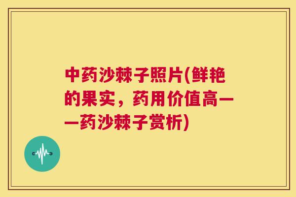 中药沙棘子照片(鲜艳的果实，药用价值高——药沙棘子赏析)