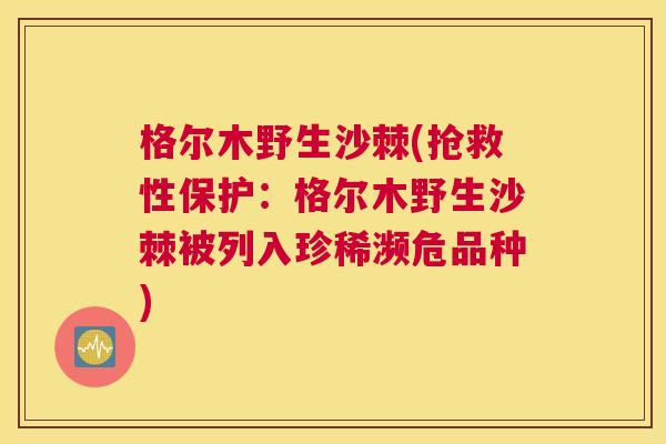 格尔木野生沙棘(抢救性保护：格尔木野生沙棘被列入珍稀濒危品种)