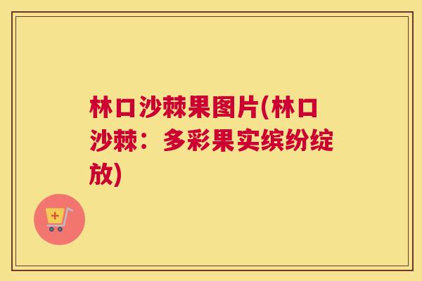 林口沙棘果图片(林口沙棘:多彩果实缤纷绽放)