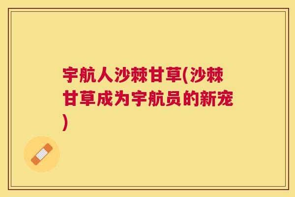 宇航人沙棘甘草(沙棘甘草成为宇航员的新宠)