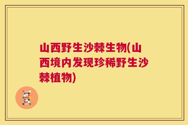 山西野生沙棘生物(山西境内发现珍稀野生沙棘植物)