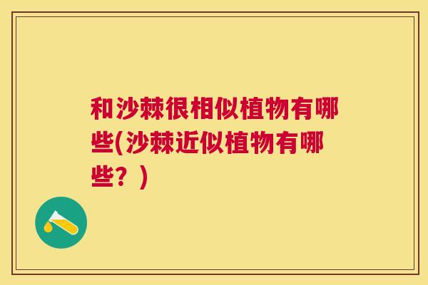 和沙棘很相似植物有哪些(沙棘近似植物有哪些？)