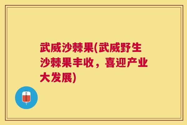 武威沙棘果(武威野生沙棘果丰收，喜迎产业大发展)