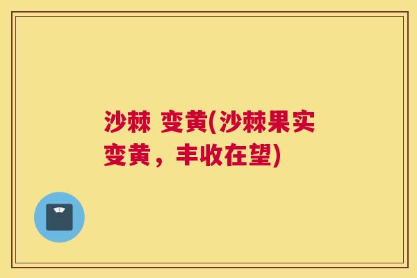 沙棘 变黄(沙棘果实变黄，丰收在望)