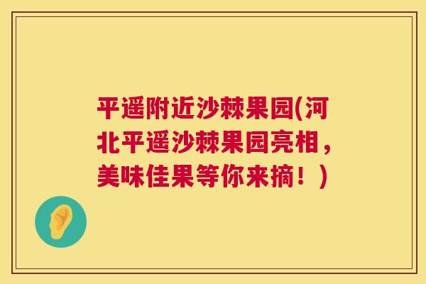 平遥附近沙棘果园(河北平遥沙棘果园亮相，美味佳果等你来摘！)