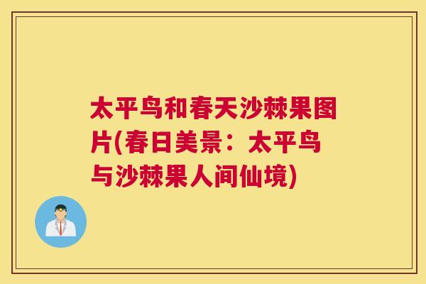 太平鸟和春天沙棘果图片(春日美景：太平鸟与沙棘果人间仙境)