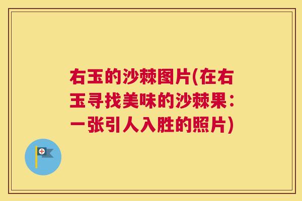 右玉的沙棘图片(在右玉寻找美味的沙棘果:一张引人入胜的照片)
