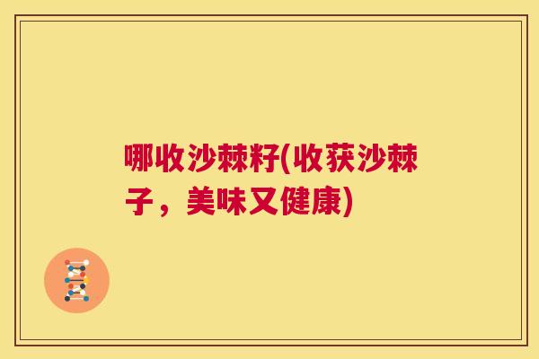 哪收沙棘籽(收获沙棘子，美味又健康)