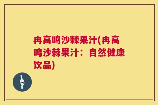 冉高鸣沙棘果汁(冉高鸣沙棘果汁：自然健康饮品)