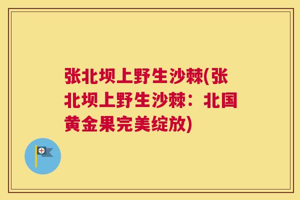 张北坝上野生沙棘(张北坝上野生沙棘：北国黄金果完美绽放)