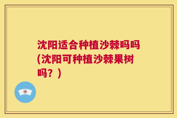 沈阳适合种植沙棘吗吗(沈阳可种植沙棘果树吗?)