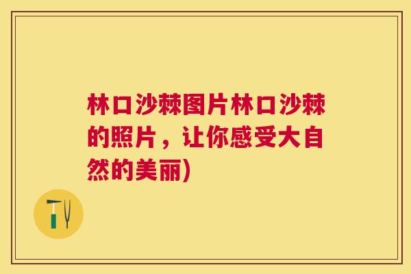 林口沙棘图片林口沙棘的照片，让你感受大自然的美丽)