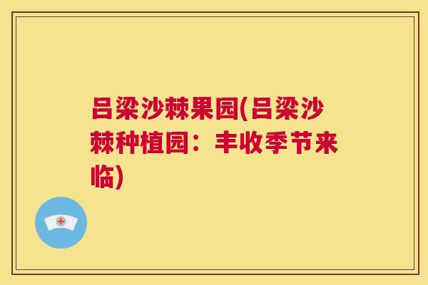 吕梁沙棘果园(吕梁沙棘种植园：丰收季节来临)