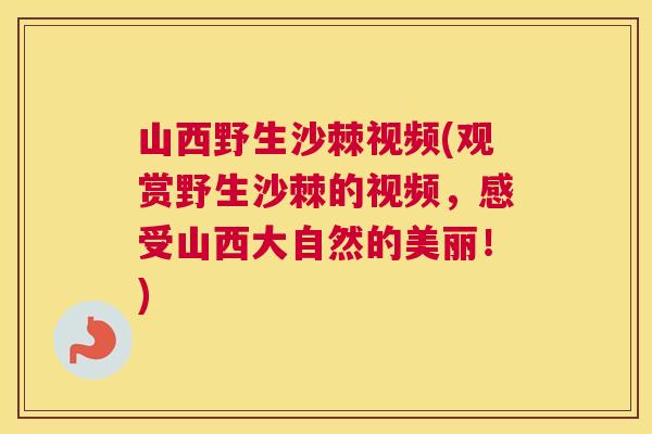 山西野生沙棘视频(观赏野生沙棘的视频，感受山西大自然的美丽！)