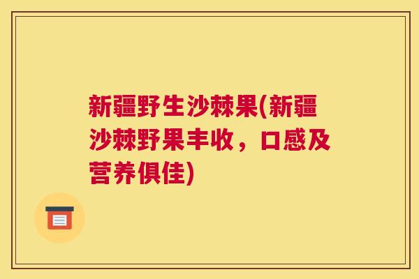 新疆野生沙棘果(新疆沙棘野果丰收，口感及营养俱佳)