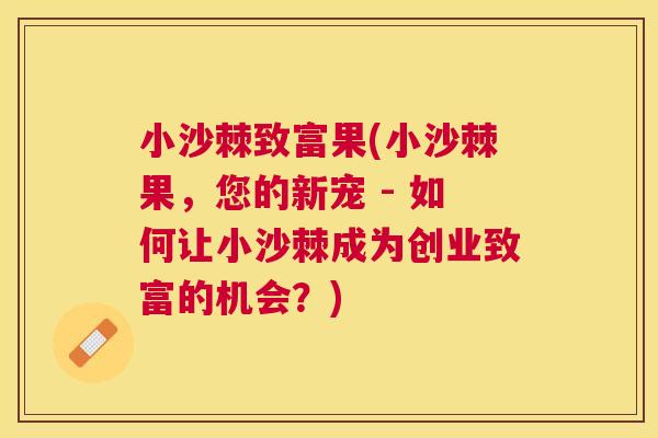 小沙棘致富果(小沙棘果，您的新宠 - 如何让小沙棘成为创业致富的机会？)