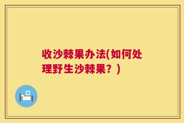 收沙棘果办法(如何处理野生沙棘果?)