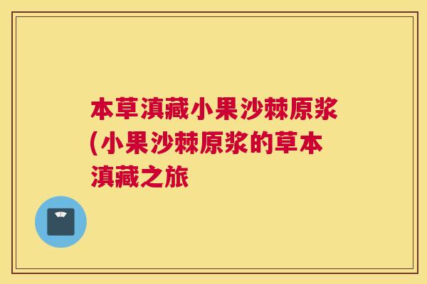 本草滇藏小果沙棘原浆(小果沙棘原浆的草本滇藏之旅