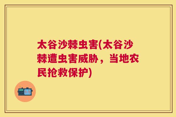 太谷沙棘虫害(太谷沙棘遭虫害威胁，当地农民抢救保护)