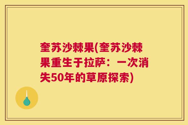 奎苏沙棘果(奎苏沙棘果重生于拉萨:一次消失50年的草原探索)