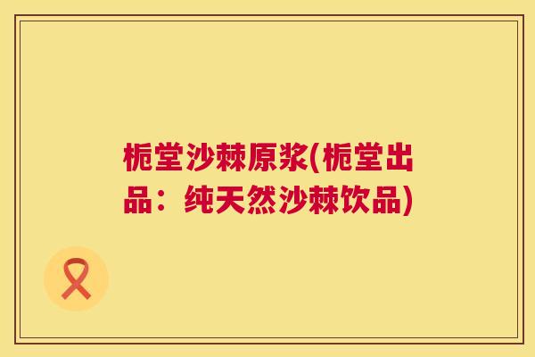 栀堂沙棘原浆(栀堂出品：纯天然沙棘饮品)