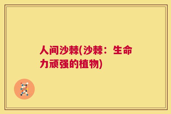 人间沙棘(沙棘：生命力顽强的植物)