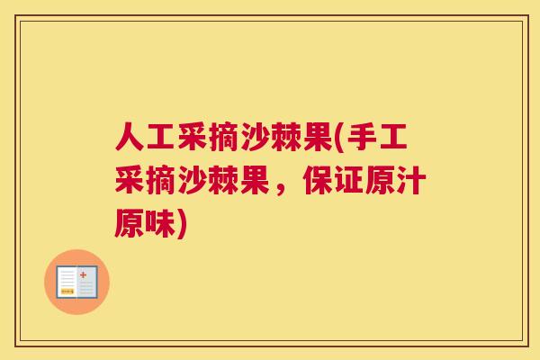 人工采摘沙棘果(手工采摘沙棘果，保证原汁原味)