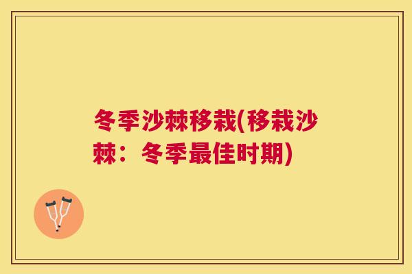 冬季沙棘移栽(移栽沙棘：冬季最佳时期)
