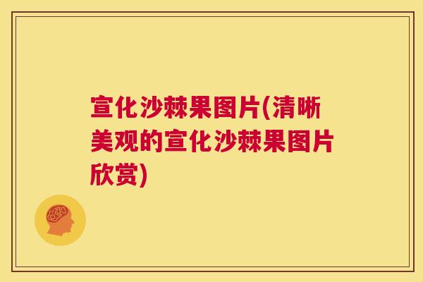 宣化沙棘果图片(清晰美观的宣化沙棘果图片欣赏)