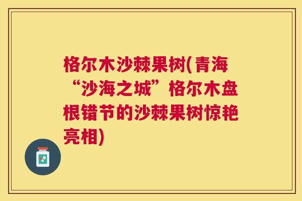 格尔木沙棘果树(青海“沙海之城”格尔木盘根错节的沙棘果树惊艳亮相)