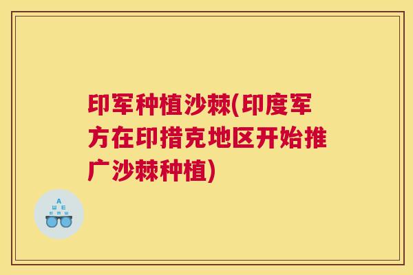 印军种植沙棘(印度军方在印措克地区开始推广沙棘种植)