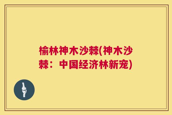 榆林神木沙棘(神木沙棘：中国经济林新宠)