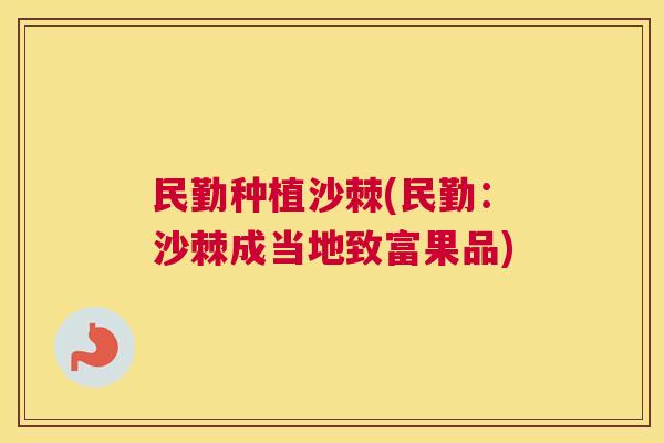 民勤种植沙棘(民勤：沙棘成当地致富果品)
