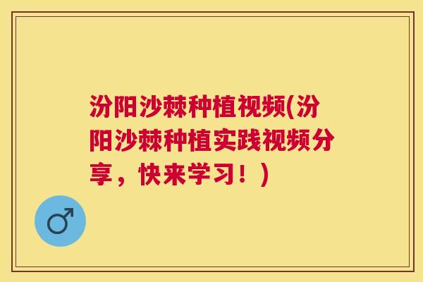 汾阳沙棘种植视频(汾阳沙棘种植实践视频分享，快来学习！)