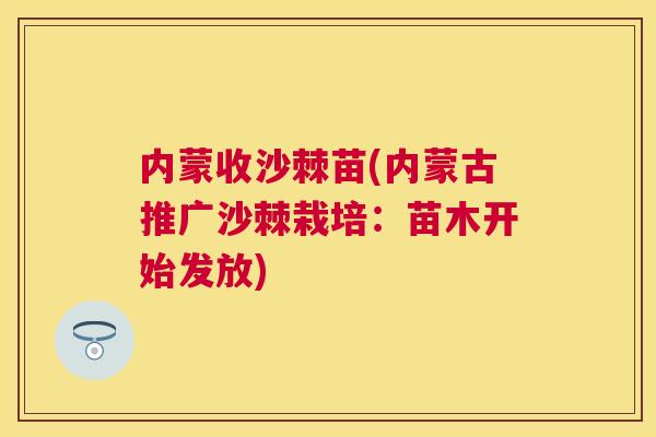 内蒙收沙棘苗(内蒙古推广沙棘栽培：苗木开始发放)