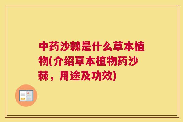中药沙棘是什么草本植物(介绍草本植物药沙棘，用途及功效)