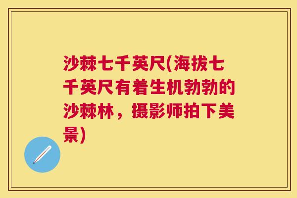 沙棘七千英尺(海拔七千英尺有着生机勃勃的沙棘林，摄影师拍下美景)