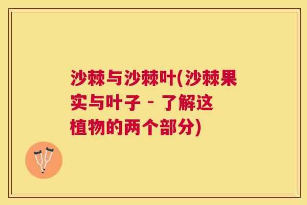 沙棘与沙棘叶(沙棘果实与叶子 - 了解这植物的两个部分)