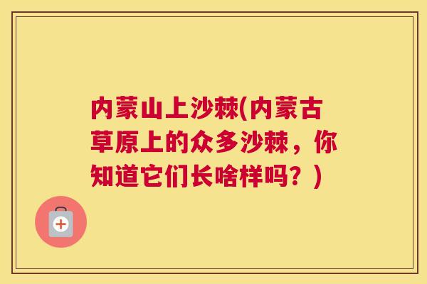 内蒙山上沙棘(内蒙古草原上的众多沙棘，你知道它们长啥样吗？)