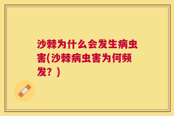 沙棘为什么会发生病虫害(沙棘病虫害为何频发？)
