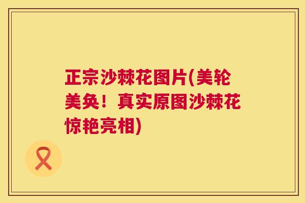 正宗沙棘花图片(美轮美奂！真实原图沙棘花惊艳亮相)