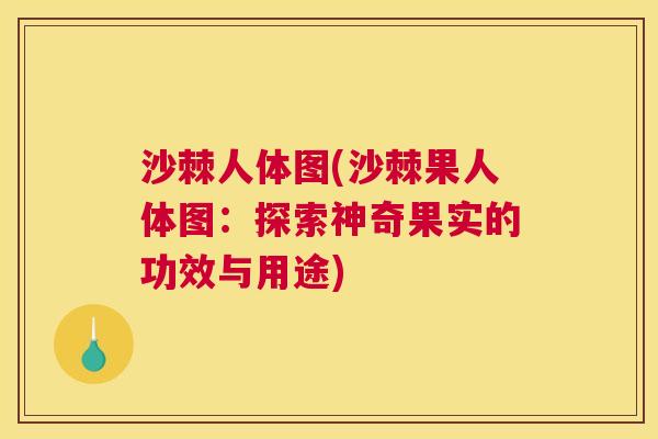 沙棘人体图(沙棘果人体图:探索神奇果实的功效与用途)