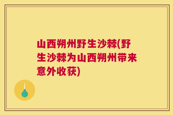 山西朔州野生沙棘(野生沙棘为山西朔州带来意外收获)