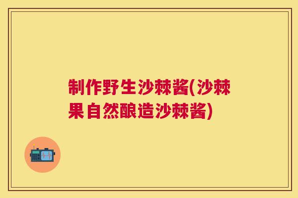 制作野生沙棘酱(沙棘果自然酿造沙棘酱)