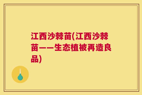 江西沙棘苗(江西沙棘苗——生态植被再造良品)