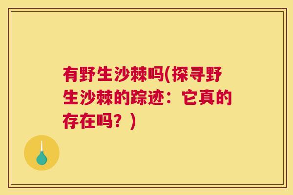 有野生沙棘吗(探寻野生沙棘的踪迹:它真的存在吗?)