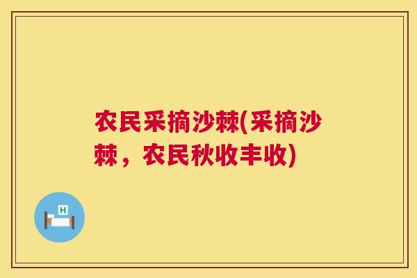 农民采摘沙棘(采摘沙棘，农民秋收丰收)