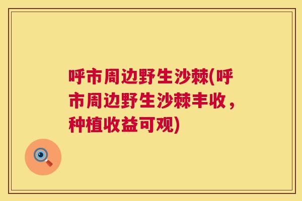 呼市周边野生沙棘(呼市周边野生沙棘丰收,种植收益可观)